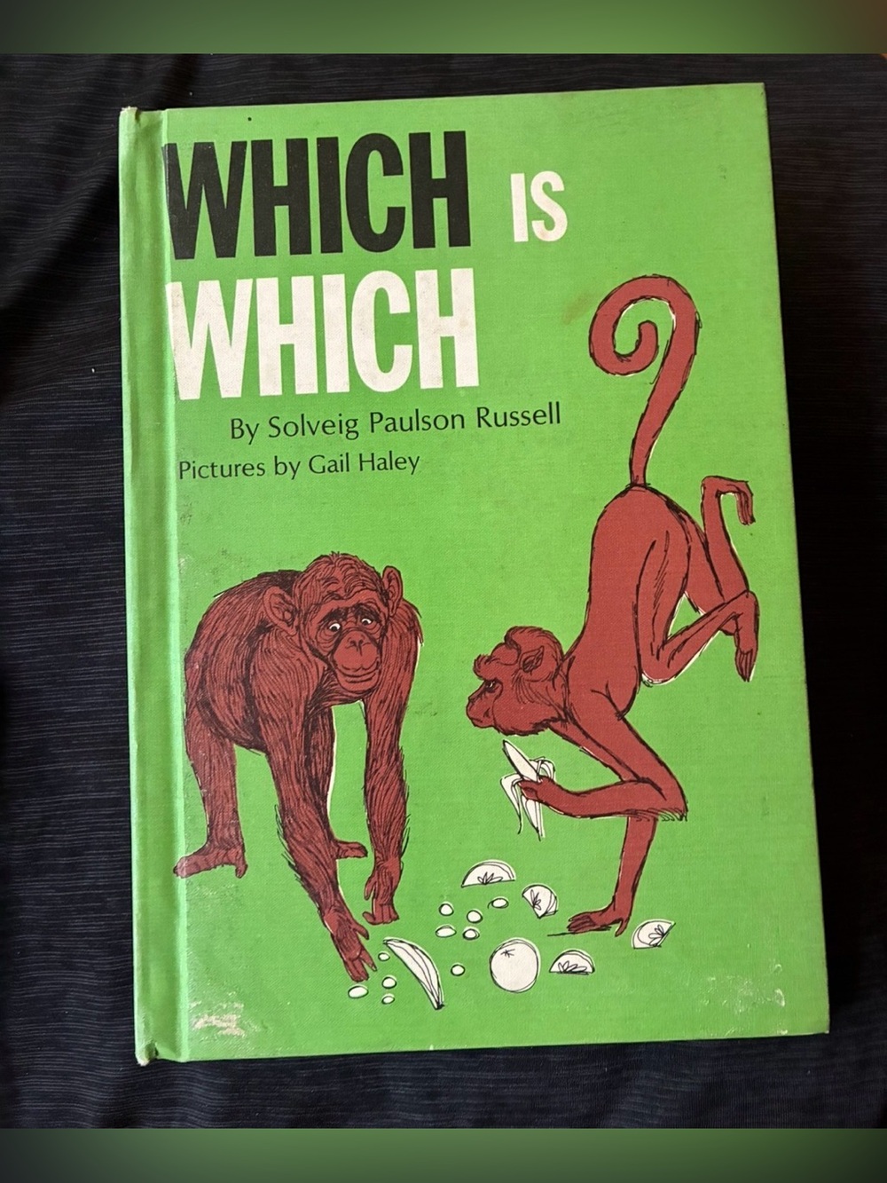 Which Is Which by Solveig Paulson Russell - Green Monkey Cover